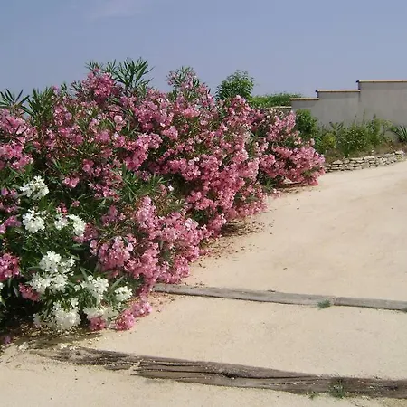 En Pays Cathare Holiday home