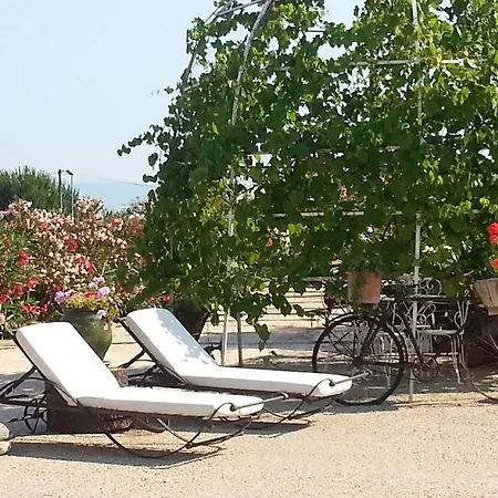 En Pays Cathare * Pomas