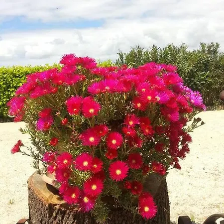 En Pays Cathare Holiday home Pomas